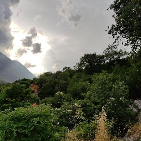 Mira 2 Lägenhet Zagvozd Exteriör bild